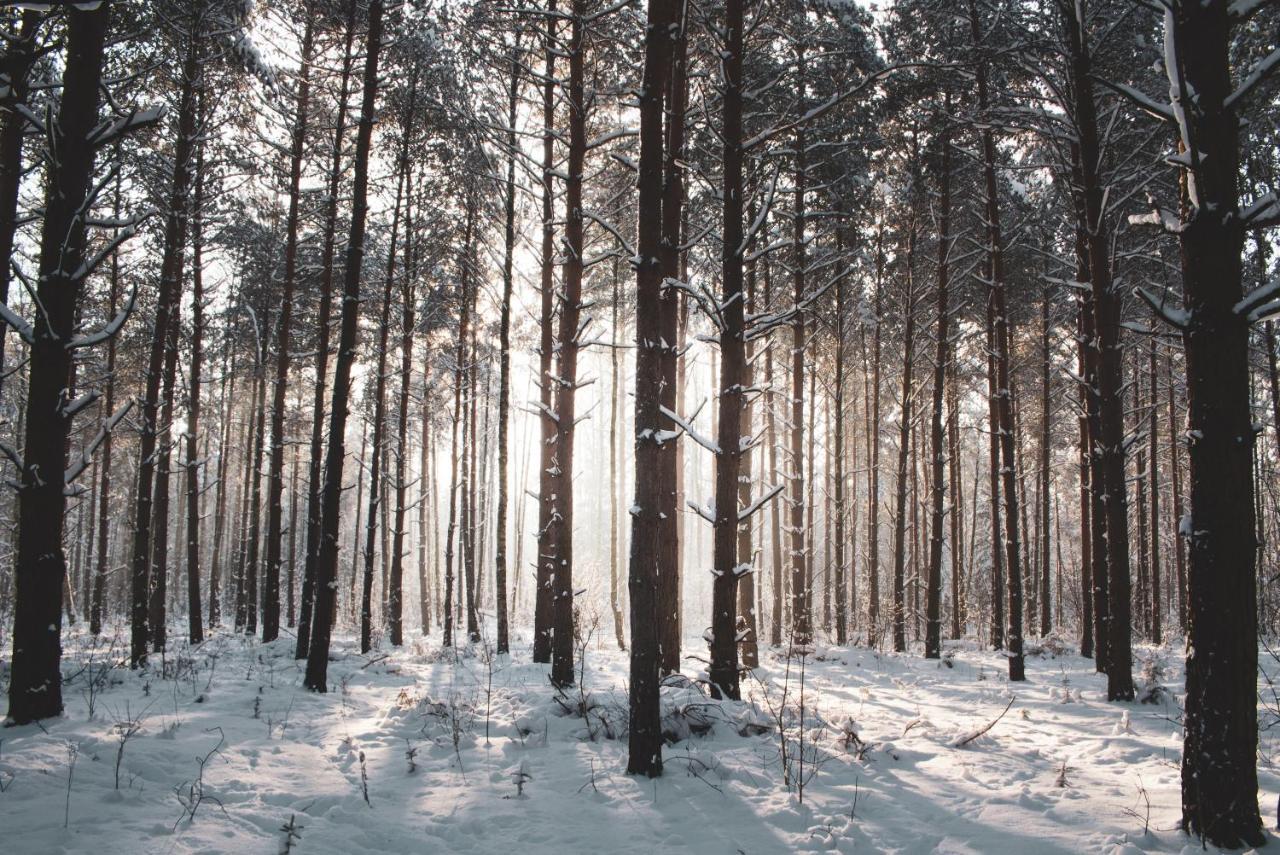 Lesna 21 Dom Poludnie Przy Puszcza Bialowieska Luka Екстер'єр фото