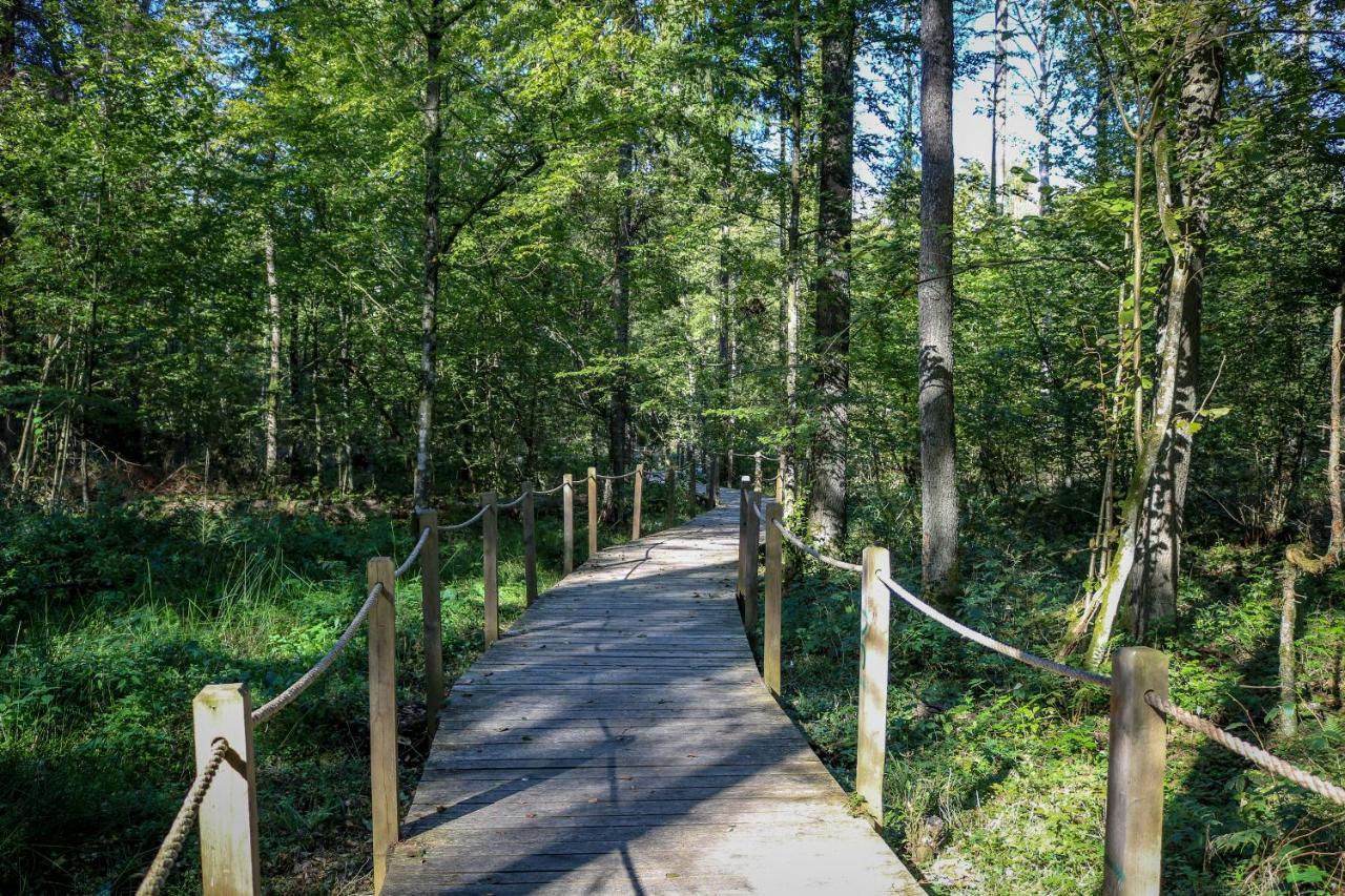 Lesna 21 Dom Poludnie Przy Puszcza Bialowieska Luka Екстер'єр фото