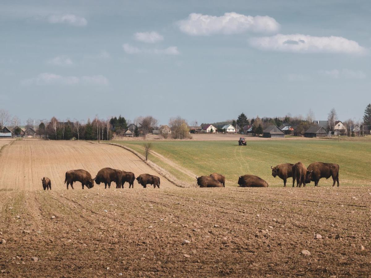 Lesna 21 Dom Poludnie Przy Puszcza Bialowieska Luka Екстер'єр фото