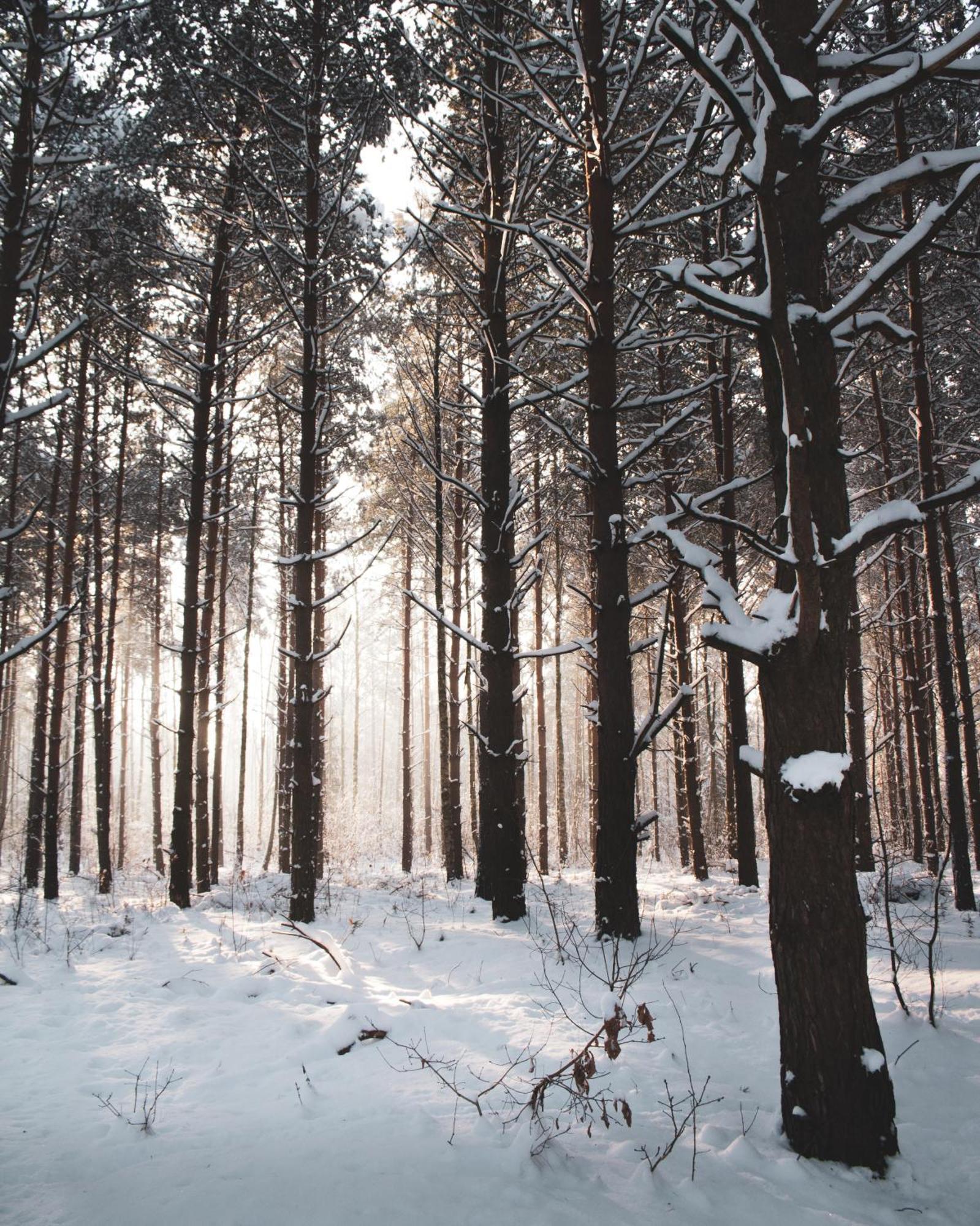 Lesna 21 Dom Poludnie Przy Puszcza Bialowieska Luka Екстер'єр фото